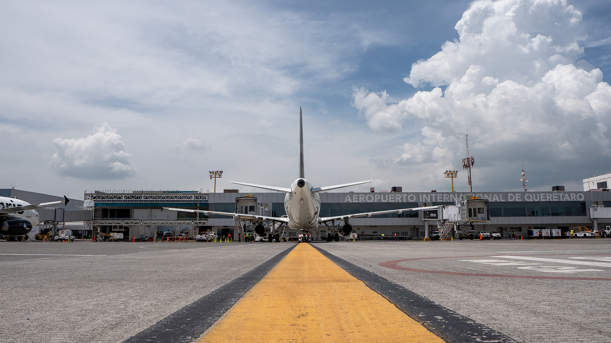 Mascotas en avión