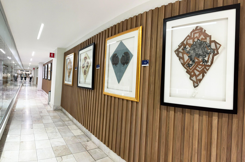 Opciones de transporte