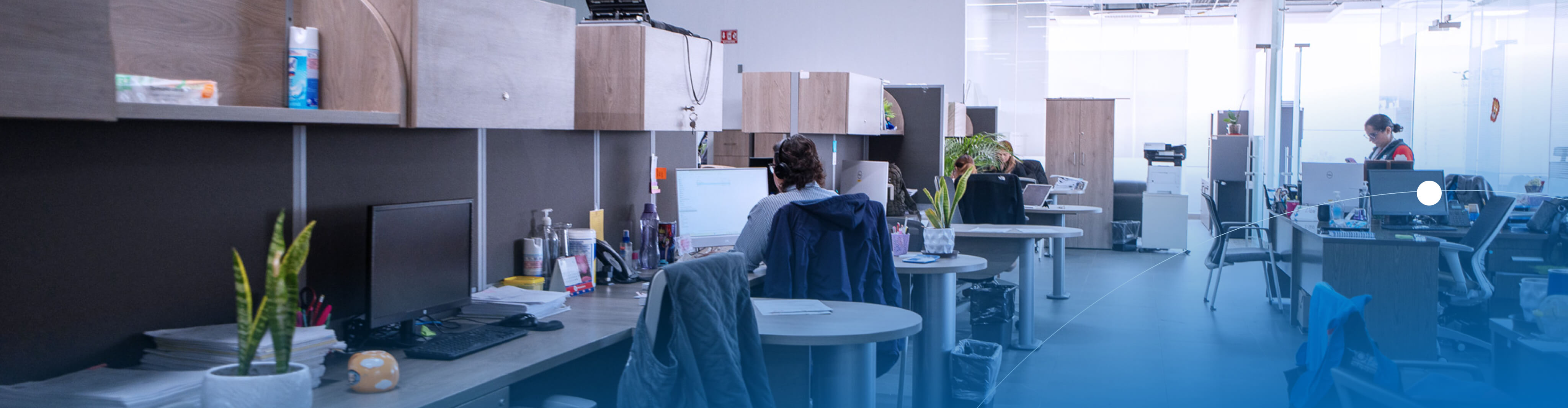 Ley general del archivo